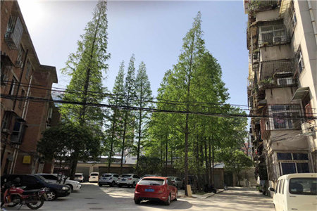 高级中学附近学区房圣都·山水城房东着急用钱，精装修